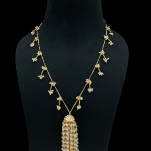 Premium Bollywood Inspired Chain Necklace For Stylish Women